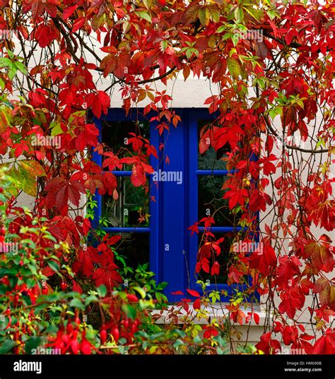 Scarlet Red