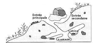 Sch Matisation D Un Hibernaculum Typique De Marmotte Commune R F Rence