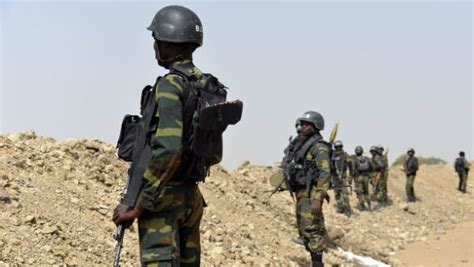 Lutte Contre Boko Haram Pr S De Militaires Camerounais En Mission