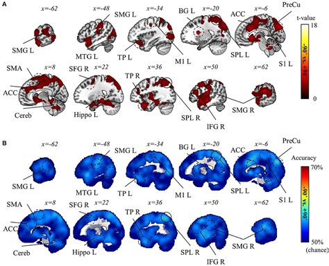 Frontiers Neural Representations For Multi Context Visuomotor