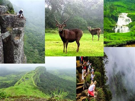 Beauty Of Sri Lanka: World's End