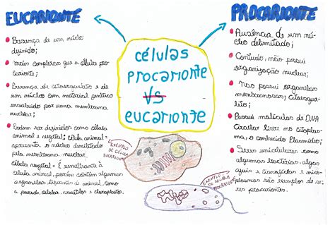 Biologia Mapa Mental C Lulas Procariotas Y Eucariotas The Best Porn