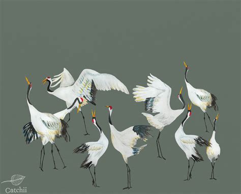 Mural Kraanvogels Groen Japanese Crane Dance Catchii