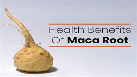 7 Science Backed Benefits Of Maca Root Its Nutrition Healthy Recipes