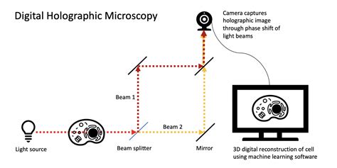 Holographic Imaging Technology Shines A Light On Cells BioVox