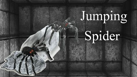 Spirit Halloween Black Jumping Spider Demo Youtube