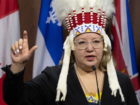 Air Canada apology for removing National Chief's headdress from cabin ...