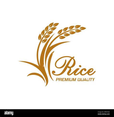 Rice Icon With Vector Ears Or Cereal Food Plant And Grains Organic Farm Field Harvest Or