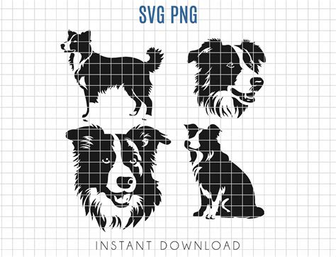 Border Collie Svg Bundle Border Collie Silhouette Bundle Easy To Cut