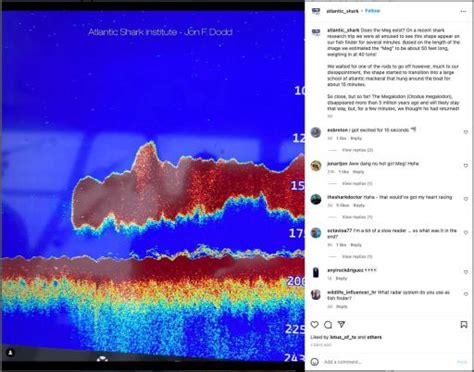 50 Foot Megalodon Detected In Atlantic Ocean Stuns Scientists