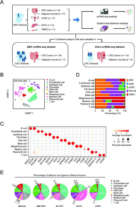 Single Cell Transcriptomic Landscape In Human Crc A The Schematics Download Scientific