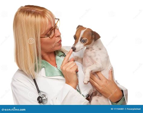 Attractive Female Doctor Veterinarian With Puppy Stock Image Image