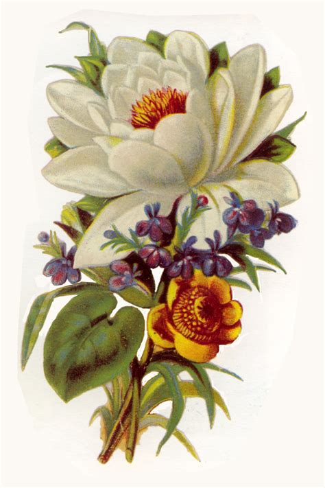 Free Vintage Flower Cliparts Download Free Vintage Flower Cliparts Png Images Free Cliparts On