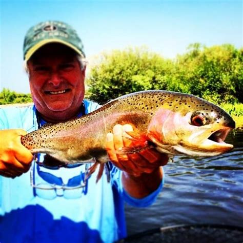 Green River Fly Fishing Reports - Fish The Fly