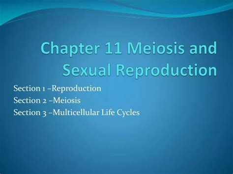 Ppt Chapter 11 Meiosis And Sexual Reproduction Powerpoint Presentation Id2031768