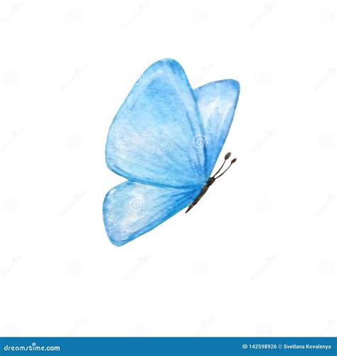 Watercolor Butterfly Blue