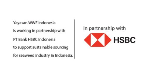 Hsbc Sustainable Seaweed Industry Global Environmental Conservation