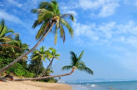 Clima Tropical Litorâneo