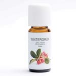 Wintergrün gaultheria procumbens China 10 ml ätherisches Öl