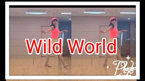 Wild World Line Dance Demo Youtube