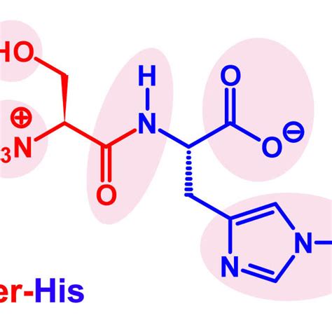 Mechanism Of Serine Protease The Catalytic Triad Ser His Asp Acts In A