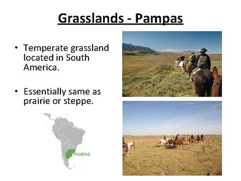 Climate Zones Vegetation Regions Biomes And Ecosystems Biomes