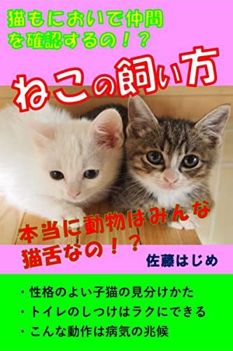 Jp 猫の飼い方 Ebook 佐藤はじめ Kindleストア