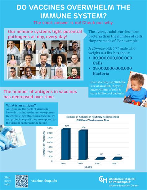 Factsheet: Do Vaccines Overwhelm the Immune System? | Vaccine Resource Hub