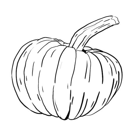 Premium Vector Hand Drawn Pumpkin Vector Sketch Collection