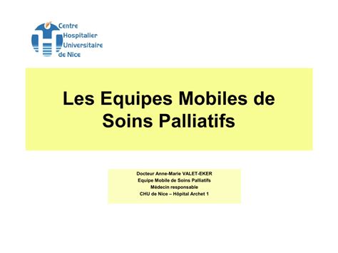 Plaquette De Presentation D Une Equipe Mobile De Soins Palliatif