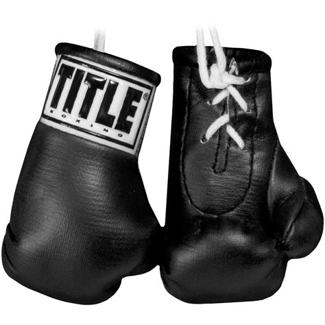 Title Boxing 3 5 Authentic Detailed Mini Lace Up Gloves Ebay