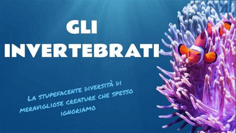 Gli Invertebrati