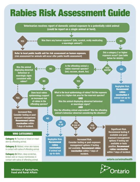 Rabies Risk Assessment Flowchart - Ontario Animal Health Network