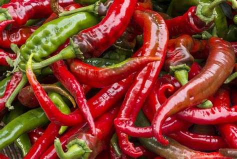 Cowhorn Pepper Guide Heat Flavor Uses PepperScale 59 OFF