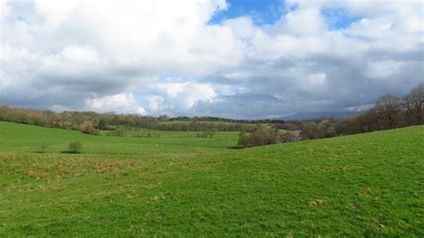 On The Ribble Way By Coppy Scar Wood Colin Park Cc By Sa