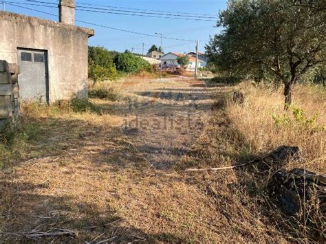 Terreno Venda Na Avenida Padre Indaleto Lopes Das Neves Vila Franca