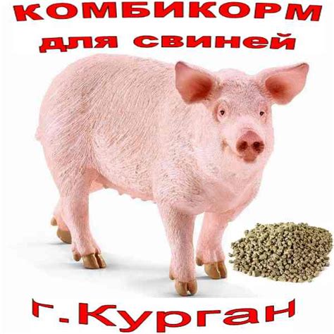 Купить КОМБИКОРМ для откорма свиней до жирных кондиций КК-58 / 1 ...