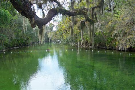 Blue Spring State Park Florida State Park Near Orlando Go Guides