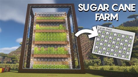 Minecraft Easy Automatic Sugarcane Farm 1 19 YouTube