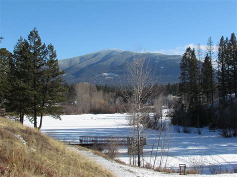 The Cranbrook Guardian: Muskrat Habitat