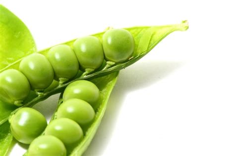 Зеленый горошек — Green peas