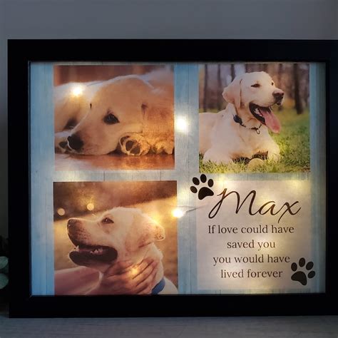 Pet Memorial Frame - Etsy