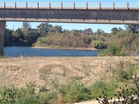 Sacramento River at Woodson Bridge State Park. Corning, CA ...