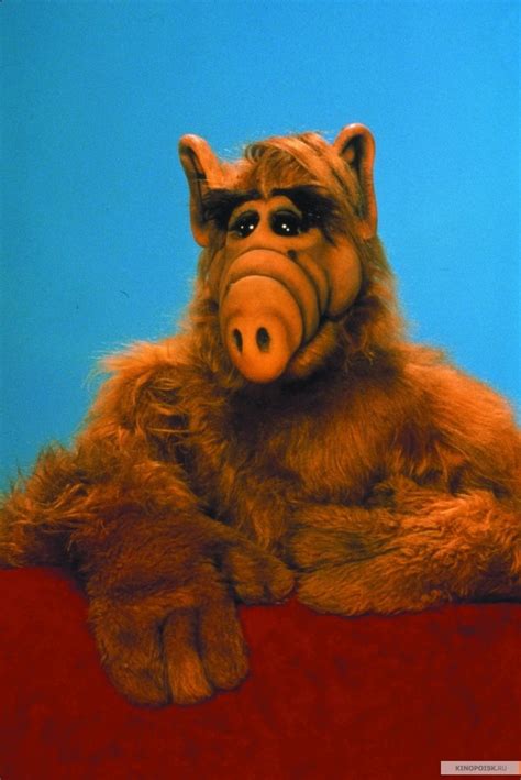 Alf Photo Alf Alf Tv Series Alf 80 Tv Shows