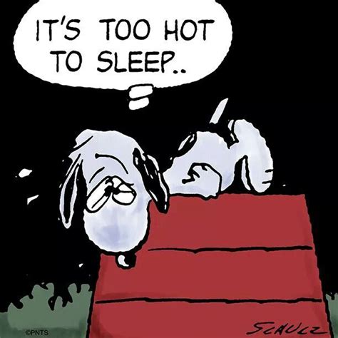 Pin By Ana Rebeca Sanchez On Snoopy Snoopy Quotes Hot Weather Humor