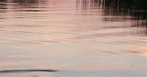 Calm Water on Lakeshore · Free Stock Photo