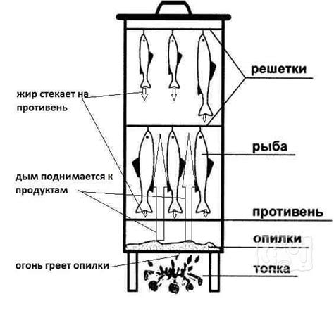 Коптильный шкаф для горячего копчения своими руками