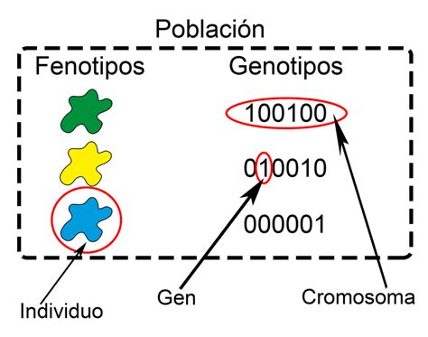 Algoritmo Gen Tico