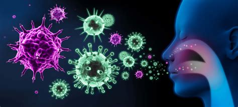 Boosting Your Immunity To Fight Virus Bacteria What You Need To