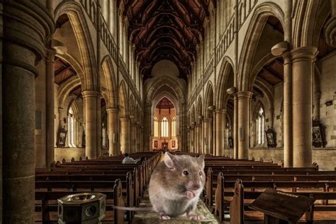 As Quiet As A Church Mouse The Church Mouse